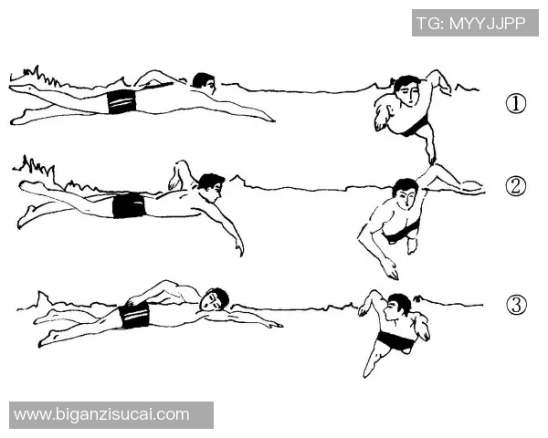 自由泳呼吸技巧解析从基础到进阶的全面指导与练习方法