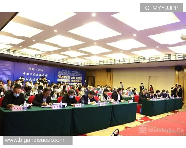 舞蹈艺术的魅力与传承探索:从传统到现代的跨越与创新之路