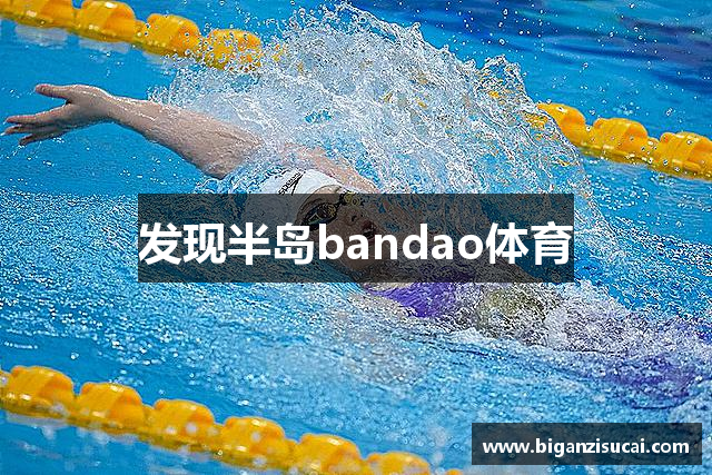 发现半岛bandao体育